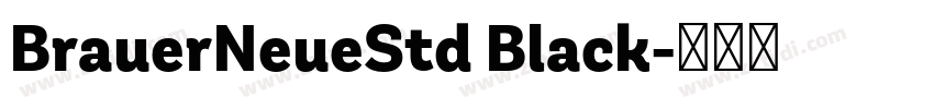 BrauerNeueStd Black字体转换